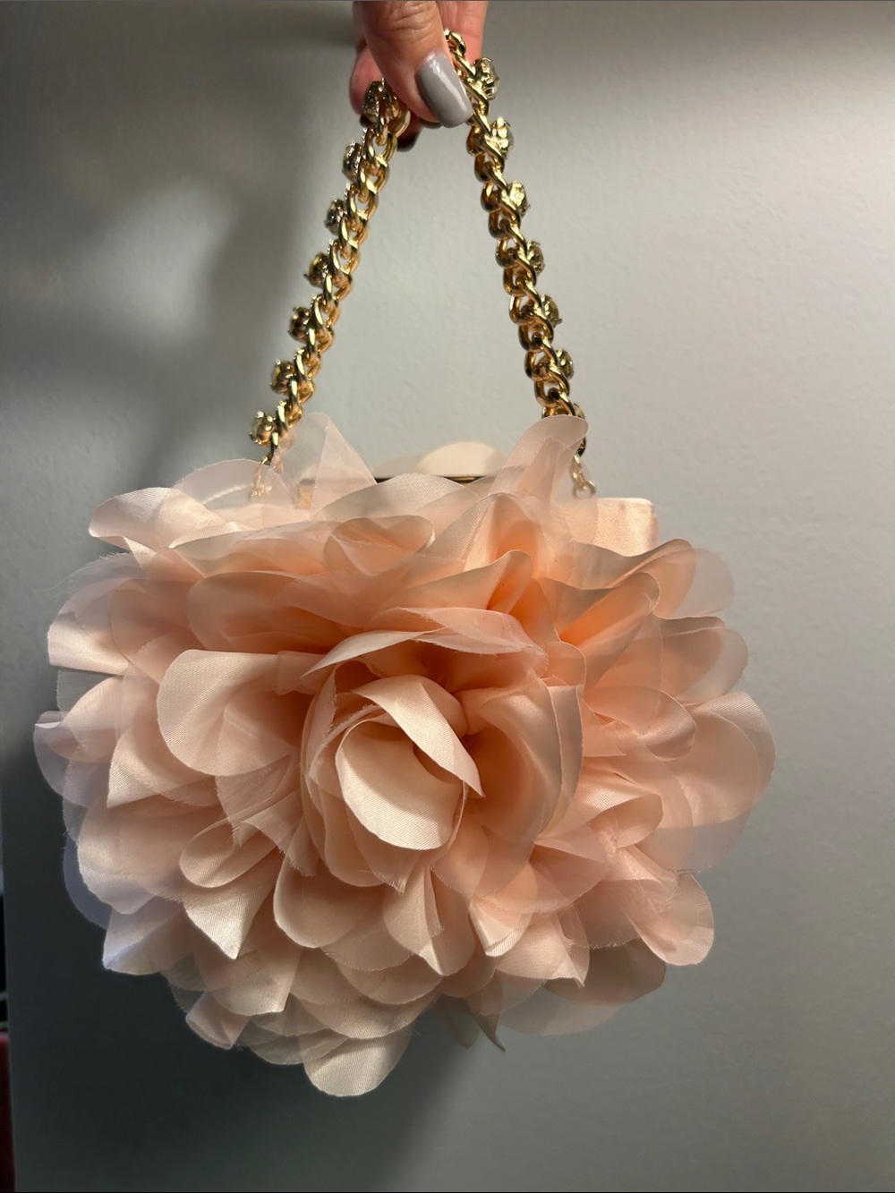 Badgley Mischka Jewel “Natasha” Blush Mini Bag Flower Clutch Purse NWT $129 - Picture 2 of 8